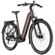 Rower elektryczny RAYMON Tahona