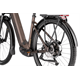 Rower elektryczny RAYMON Tahona