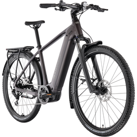 Rower elektryczny RAYMON Tahona Comp