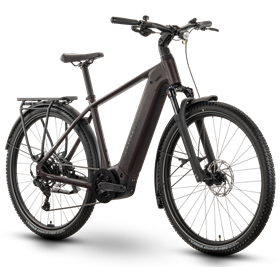 Rower elektryczny RAYMON Tahona Comp