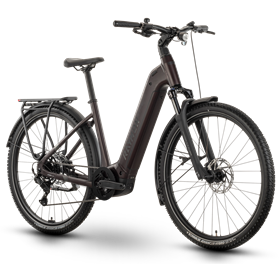 Rower elektryczny RAYMON Tahona Comp