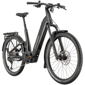 Rower elektryczny RAYMON Tavano Pro