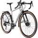 Rower gravel RAYMON Territ Pure Street