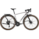 Rower gravel RAYMON Territ Pure Street