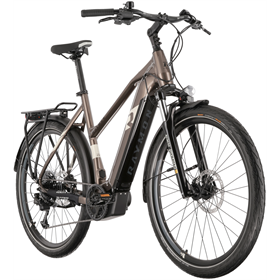 Rower elektryczny RAYMON TourRay E 5.0 9S M350