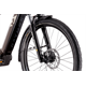 Rower elektryczny RAYMON TourRay E 5.0 Gent 9S M350