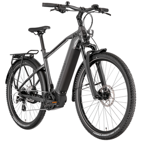 Rower elektryczny RAYMON Tourray Select