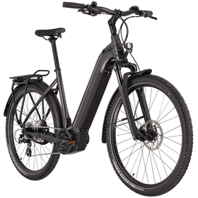 Rower elektryczny RAYMON Tourray Select