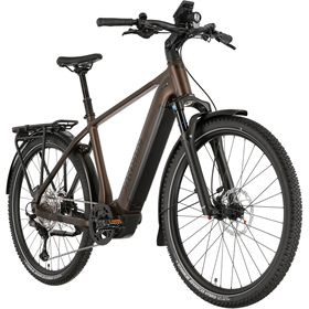 Rower elektryczny RAYMON Tourray Ultra 720