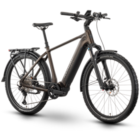 Rower elektryczny RAYMON Tourray Ultra 800