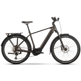 Rower elektryczny RAYMON Tourray Ultra 800