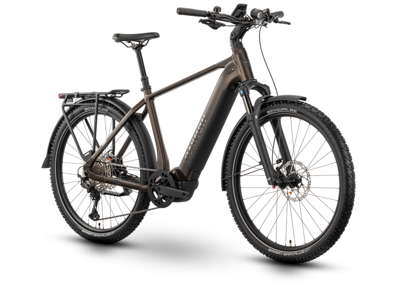 Rower elektryczny RAYMON Tourray Ultra 800