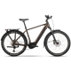 Rower elektryczny RAYMON Tourray Ultra 800