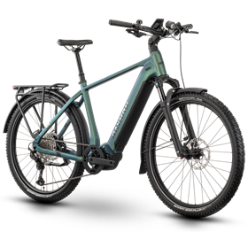 Rower elektryczny RAYMON Tourray Ultra 800