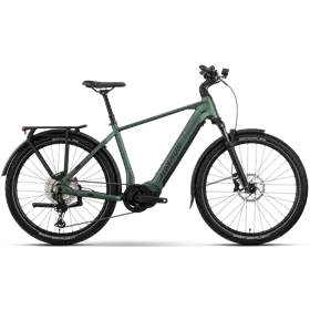 Rower elektryczny RAYMON Tourray Ultra 800