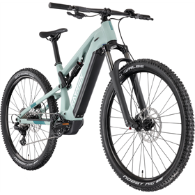 Rower elektryczny RAYMON Trailray 120