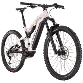 Rower elektryczny RAYMON Trailray 150