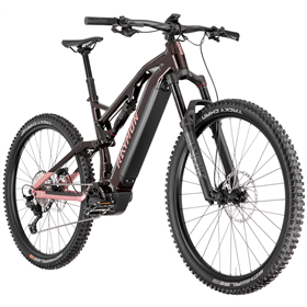 Rower elektryczny RAYMON Trailray 150 Pro