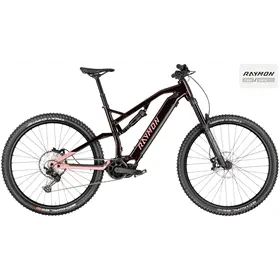 Rower elektryczny RAYMON Trailray 150 Pro