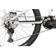 Rower elektryczny RAYMON Trailray 170
