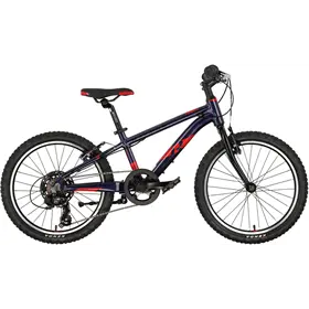 Rower dziecięcy RAYMON TwoRay 1.0