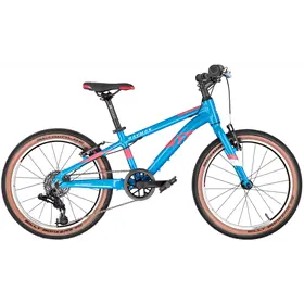 Rower dziecięcy RAYMON TwoRay 3.0