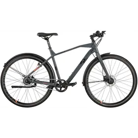 Rower miejski RAYMON UrbanRay 2.0 Gent