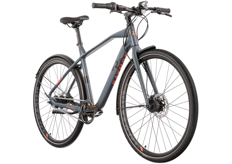 Rower miejski RAYMON UrbanRay 2.0 Gent