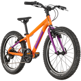 Rower dziecięcy RAYMON Yanga 20