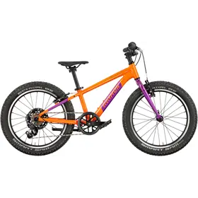 Rower dziecięcy RAYMON Yanga 20