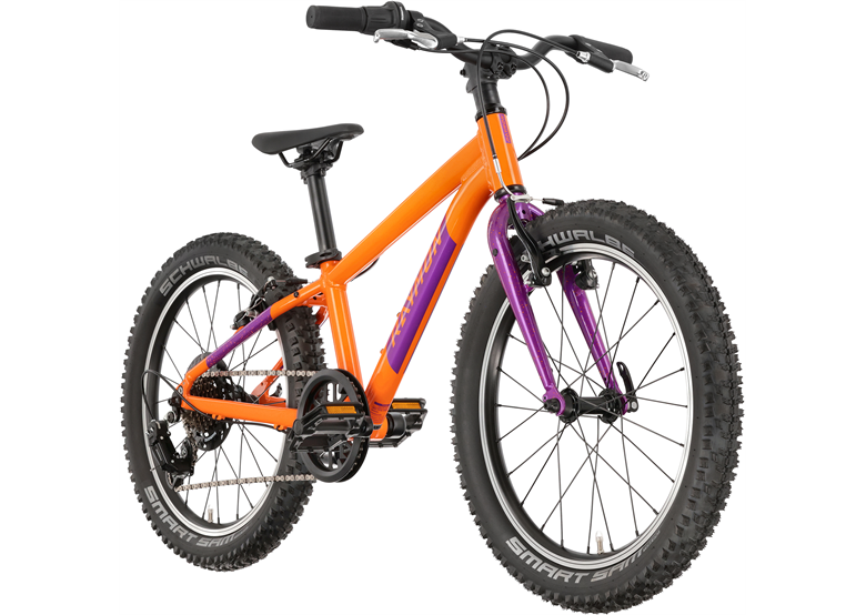 Rower dziecięcy RAYMON Yanga 20