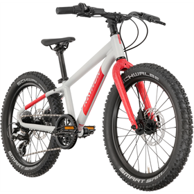 Rower dziecięcy RAYMON Yanga 20 Pro