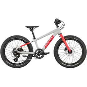 Rower dziecięcy RAYMON Yanga 20 Pro