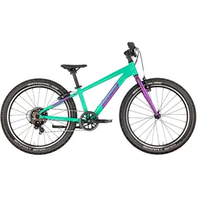 Rower dziecięcy RAYMON Yanga 24