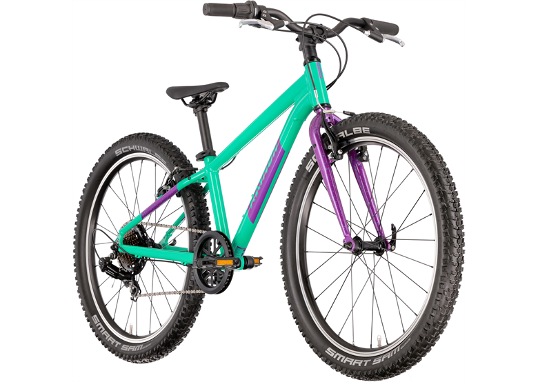 Rower dziecięcy RAYMON Yanga 24