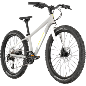 Rower dziecięcy RAYMON Yanga 24 Pro