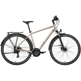 Rower trekkingowy RAYMON Zayn Comp