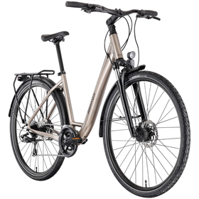 Rower trekkingowy RAYMON Zayn Comp