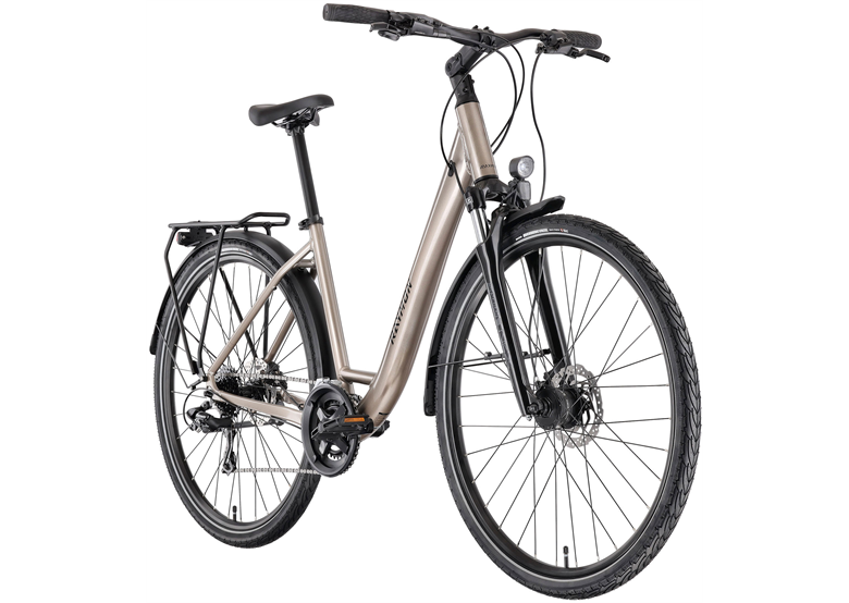 Rower trekkingowy RAYMON Zayn Comp