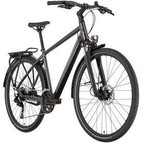 Rower trekkingowy RAYMON Zayn Pro