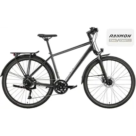 Rower trekkingowy RAYMON Zayn Pro