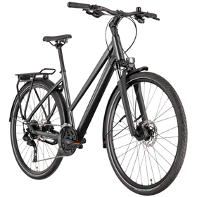 Rower trekkingowy RAYMON Zayn Pro