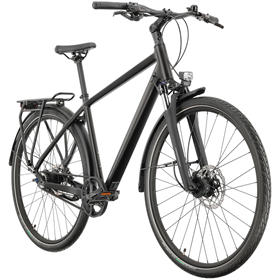 Rower trekkingowy RAYMON Zayn Ultra