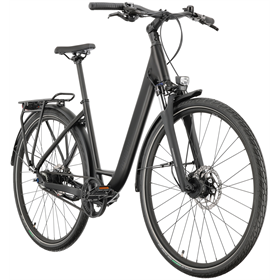 Rower trekkingowy RAYMON Zayn Ultra