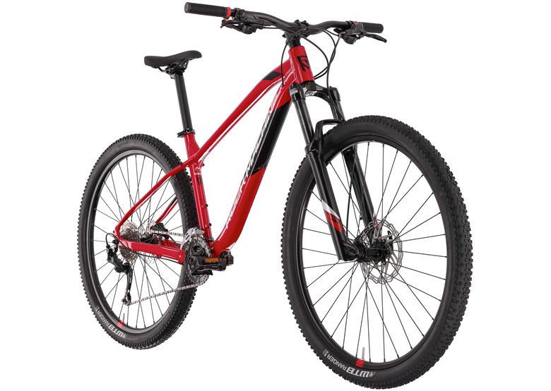 Rower MTB ROCK MACHINE Blizz 30-29