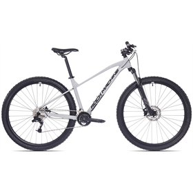 Rower MTB ROCK MACHINE Manhattan 40-29