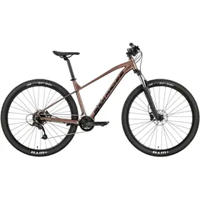 Rower MTB ROCK MACHINE Manhattan 70-29