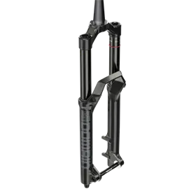 Rock shox domain r outlet