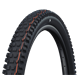 Opona SCHWALBE Albert Trail Pro HS641
