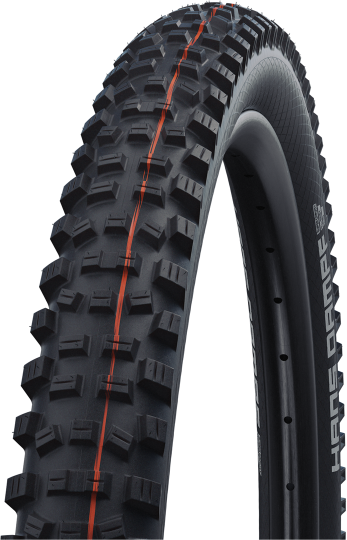 超ポイントアップ祭 schwalbe-hans-dampf-evolution- パーツ